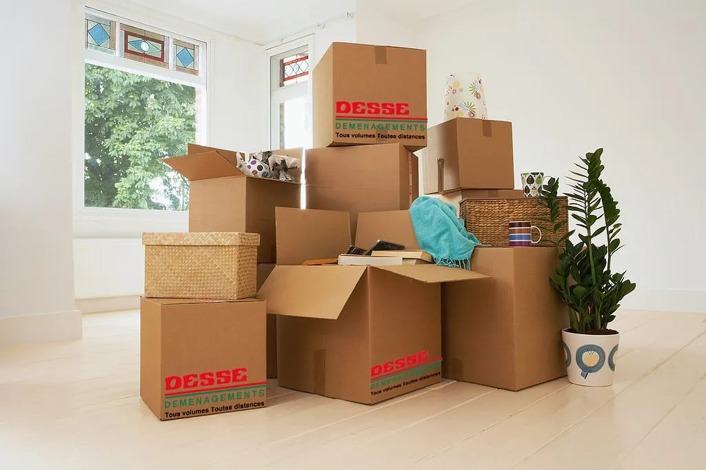 Groupe de cartons et objets déménageant dans une pièce lumineuse, prêt à être emballé, avec une plante verte et des boîtes DESSSE Deménagements. comment bien organiser son déménagement en 1 mois.